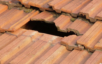roof repair Dolphin, Flintshire