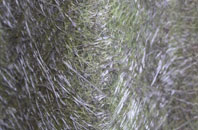 Dolphin fibreglass roof work