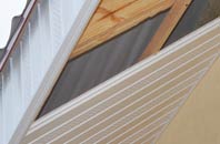 rated Dolphin soffit repair companies
